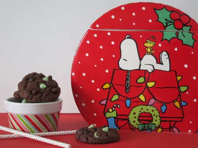 Dark Chocolate Mint Chip Cookies | Shake Bake and Party