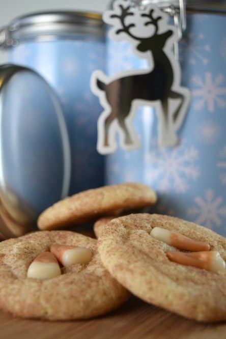 Apple Pie Snickerdoodles | Shake Bake and Party